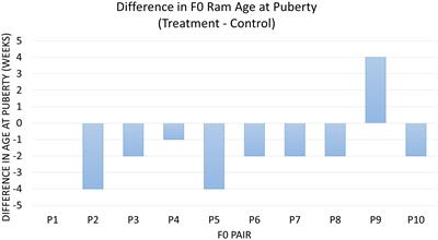 The Intergenerational Impacts of Paternal Diet on DNA Methylation and Offspring Phenotypes in Sheep